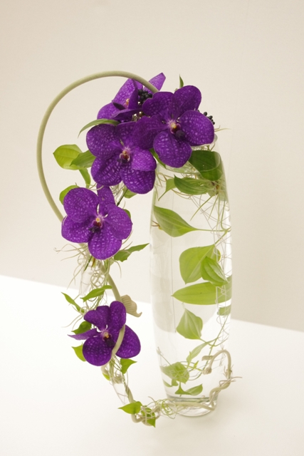 ssizee7b8aee5b08f ssizee7b8aee5b08f