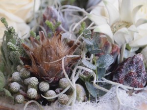 e5af84e3828a800c397600