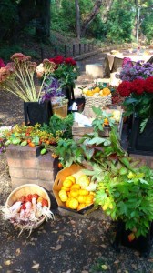 e6a3aee381aee4b8adefbc8ee88ab1e69d90