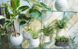 e989a2efbd93efbd81efbd8cefbd85