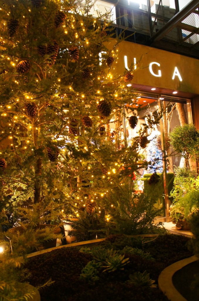 e383a9e382a4e38388e382a2e38383e3839721