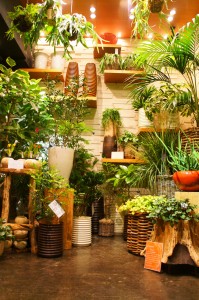 1Ｆディスプレイ