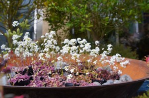 e382a2e383a9e38393e382b903